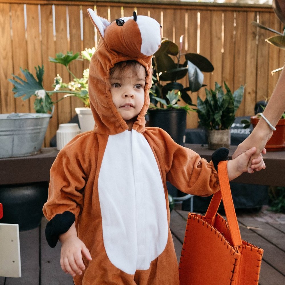 Horse Costume! Naaay!